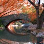 Photo of Custom & Private New York Tours