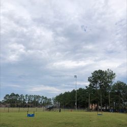 Westover Dog Park - Plenty of room