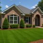 LawnLogic Turf