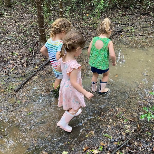 Into The Woods Playschool - childcare center in Tallahassee, FL