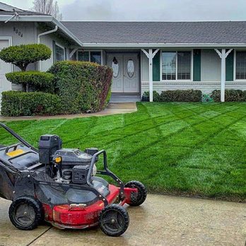 A-G Sod Farms - The results of A-G Sod and brookstone Services 209-518-8740 quality care - Sergio - Landscape Architects or Designers Near Me - Lodi, California A-G Sod Farms - The results of A-G Sod and brookstone Services 209-518-8740 quality care - Sergio - Landscape Architects or Designers Near Me - Lodi, California