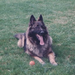 The Beautiful Elsa, 1988-2002 The Beautiful Elsa, 1988-2002