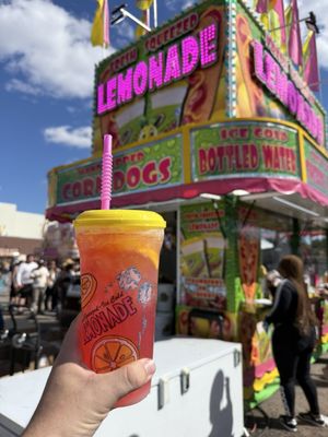 Michigan State Fair by null