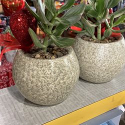 A Garden Center - Gifts
