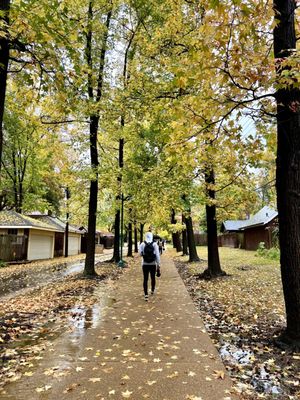 Washington University in St. Louis by null