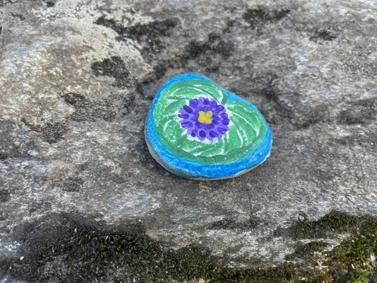 Blue Ridge Parkway - Craggy Gardens Visitor Center by null