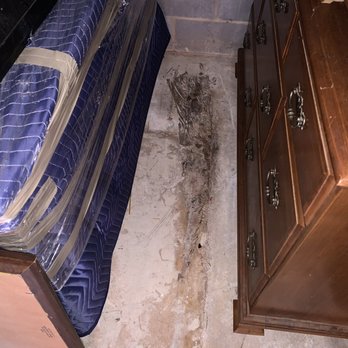 Public Storage - Black mold in our unit where the mattress was double-bagged. - Self Storage Near Me - Charlotte, North Carolina Public Storage - Black mold in our unit where the mattress was double-bagged. - Self Storage Near Me - Charlotte, North Carolina