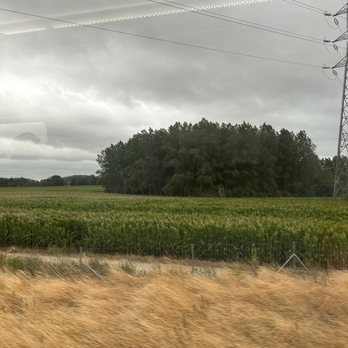 Eurostar International - Transportation Near Me - London, XGL