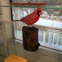 Hirdie Girdie Art Gallery - Wood Sculpture- Kay Stammers