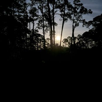 Tate's Hell State Forest - Road from 98 headed in. - Hiking Near Me - Carrabelle, Florida
