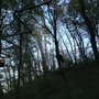 Photo of Treja Adventure