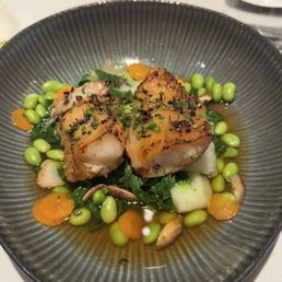 Sablefish Sablefish