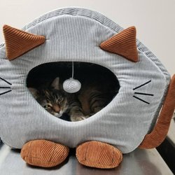 Corcoran Pet Care Center