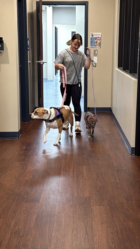 Rowdy Paws Pet Lodge Image