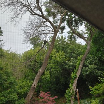 Vinny's Tree Service - Lean goes over the house. - Tree Services Near Me - Omaha, Nebraska