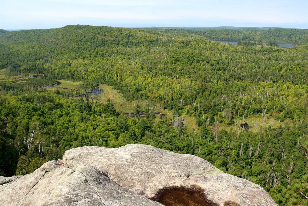 Goldfox Counseling - grief counselor in Spring Lake Park, MN