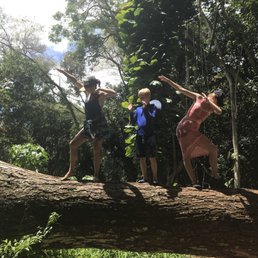 Jenny aka Tropical goddess/Hawaiian Wonder Woman (on left) makes dab and other dancing on the fallen tree with the kids