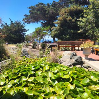 Ragged Point Restaurant - American Near Me - Ragged Point, California Ragged Point Restaurant - American Near Me - Ragged Point, California