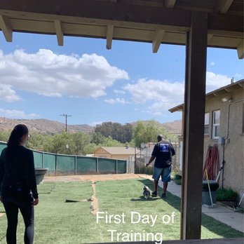 Better K9 Pet Resort - Riverside Location - Pet Training Near Me - Riverside, California