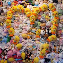 Matte - Wall of Plushies