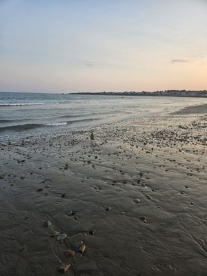 South Shore Beach by null