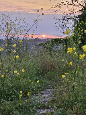 Ernest E. Debs Regional Park by null