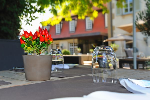 Restaurant Gutsschenke - Schlosshotel Monrepos by null