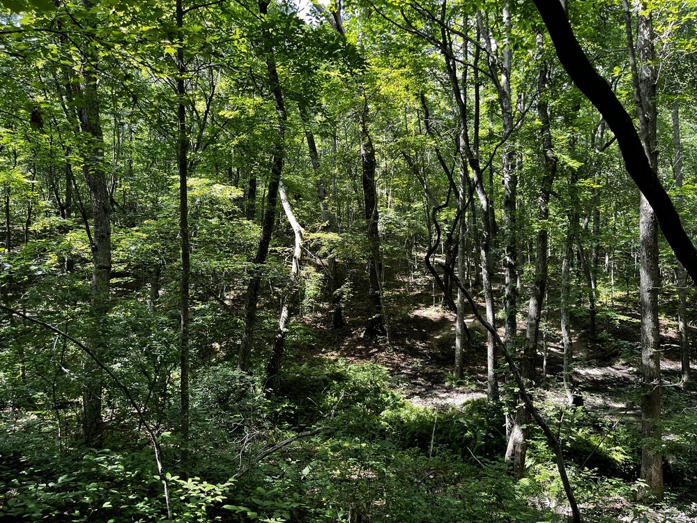Social spots from Fall Creek Falls Riding Stables