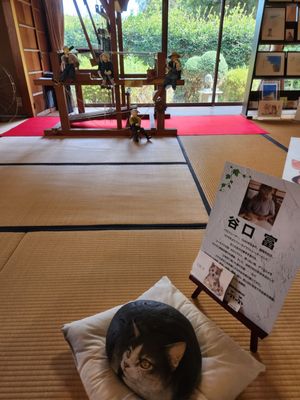 Nokonoshima Island by null