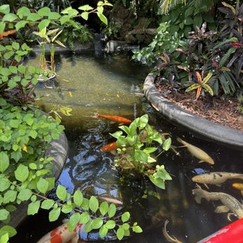 Sunken Gardens - Nurseries & Gardening Near Me - Saint Petersburg, Florida Sunken Gardens - Nurseries & Gardening Near Me - Saint Petersburg, Florida