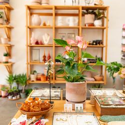 Greenwood Shop