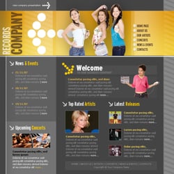 Ecommerce erfolgreich nutzen - allCliXXPro Multishop CMS Template Audioportal