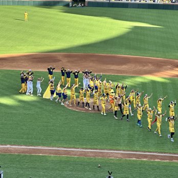 Neyland Stadium - Nobody ever sits down, even between innings - Stadiums & Arenas Near Me - Knoxville, Tennessee Neyland Stadium - Nobody ever sits down, even between innings - Stadiums & Arenas Near Me - Knoxville, Tennessee