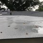 Photo of Classic Roof Replacement