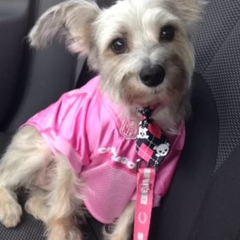Pets Etc - Pet Stores Near Me - Plainfield, Illinois