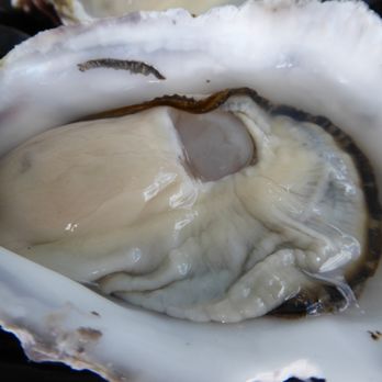 Melshell Oyster Shack - Seafood Near Me - Dolphin Sands, TAS