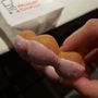Photo of Mister Donut