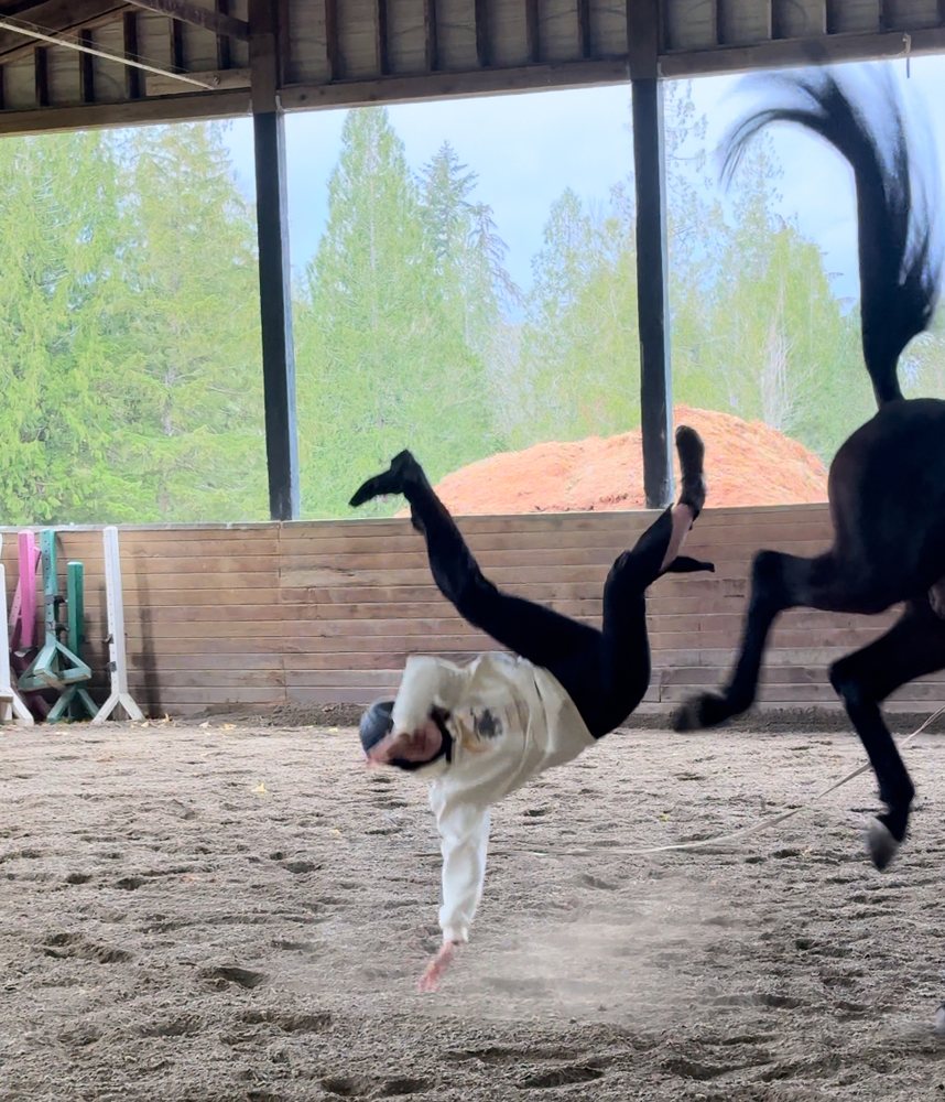 FUERZA Equestrian - equestrian in Fall City, WA