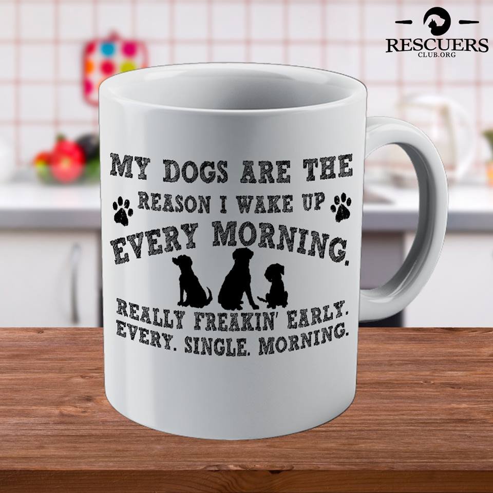 WIGGLES N WAGS Updated September 2024 31 Photos Richmond, British