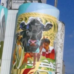 Putnam County Mural Project