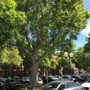 Photo of Parkplatz Friedemann-Bach-Platz - parkovisko
