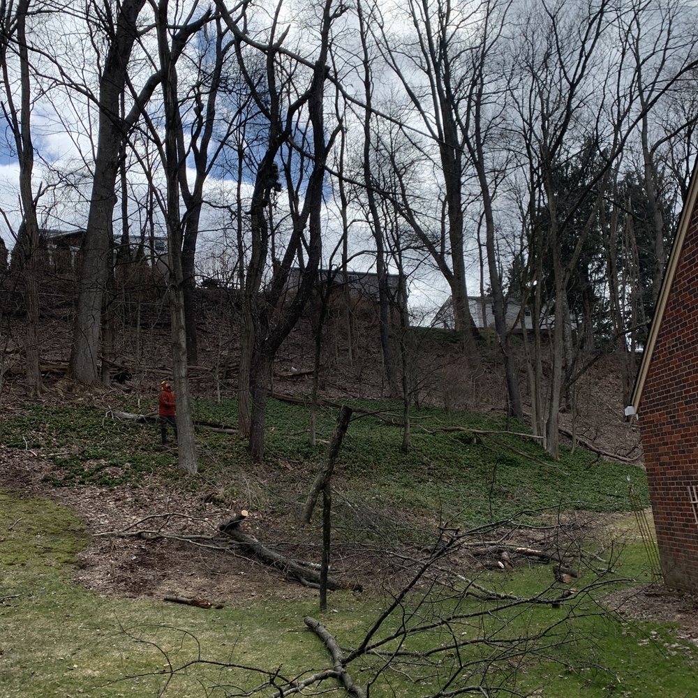 PA Tree Man - Tree Services Near Me - Jeannette, Pennsylvania PA Tree Man - Tree Services Near Me - Jeannette, Pennsylvania