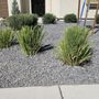Photo of Hernandez Landscaping