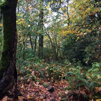 Palomino Park - Palomino Trail Loop - Parks Near Me - West Linn, Oregon Palomino Park - Palomino Trail Loop - Parks Near Me - West Linn, Oregon
