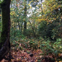 Palomino Park - Palomino Trail Loop