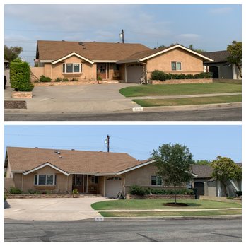 Moon Valley Nurseries - Before & After.  The tree looks fantastic and I am very happy! - Tree Services Near Me - Irvine, California
