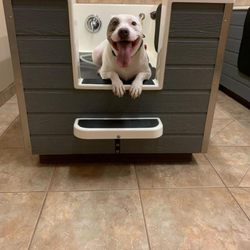 Mt Hood Pet Resort