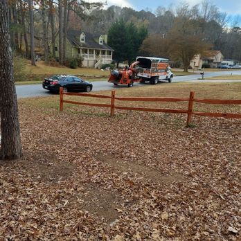Grizzly Tree Experts - Equipment - Tree Services Near Me