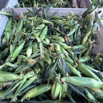 LJB Farms - Got corn? - Grocery Near Me - San Martin, California LJB Farms - Got corn? - Grocery Near Me - San Martin, California