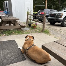 The Landmark - Rocky the boxer, relaxing, my buddy Chuck, relaxing